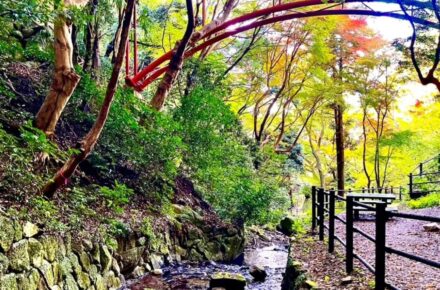 額田山展望台まで山登り