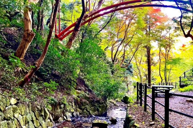 額田山展望台まで山登り