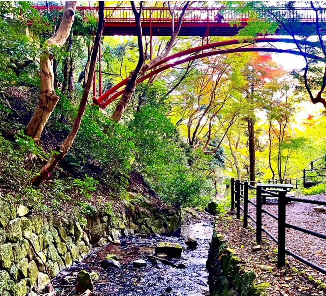 額田山展望台まで山登り