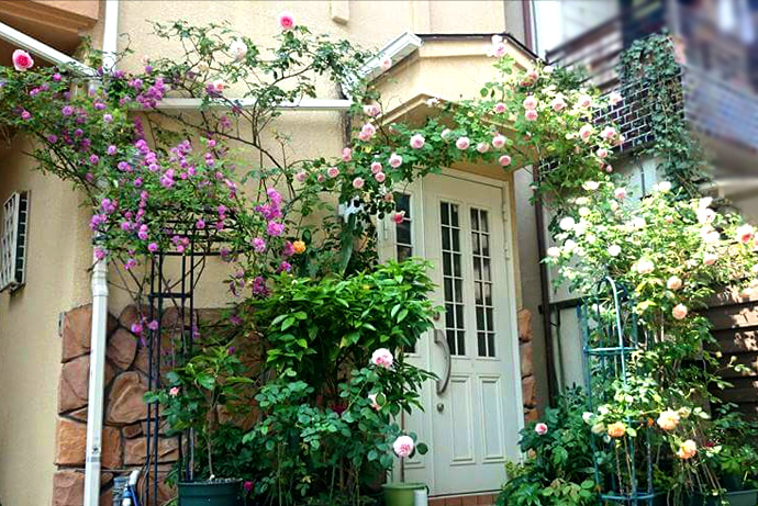 イングリッシュガーデン